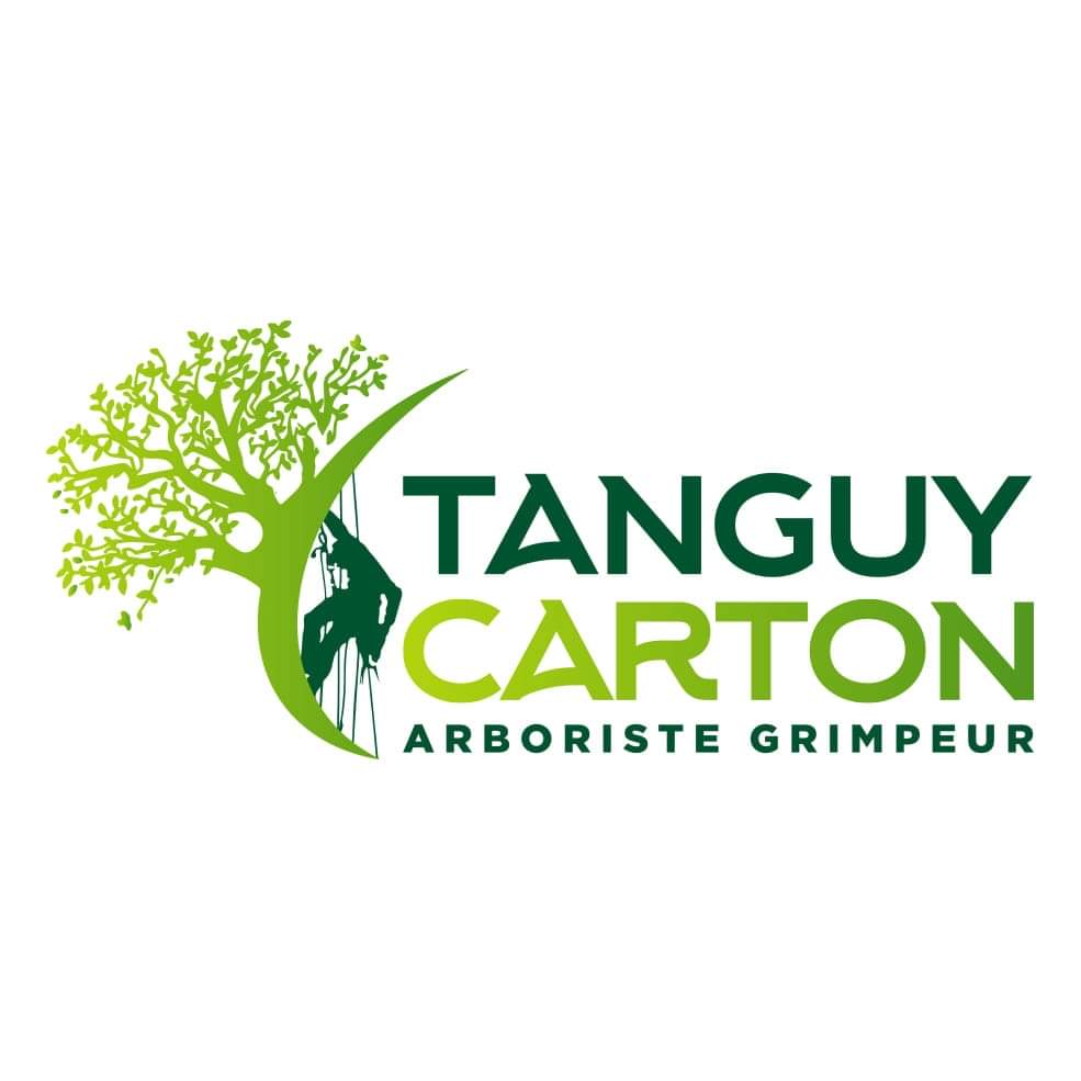 Tanguy carton arboriste élagueur grimpeur région de mons